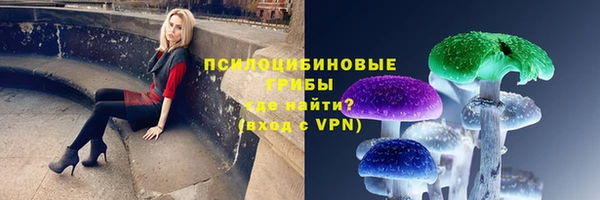 ешки Алексеевка