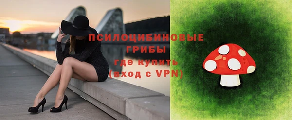 не бодяженный Алзамай