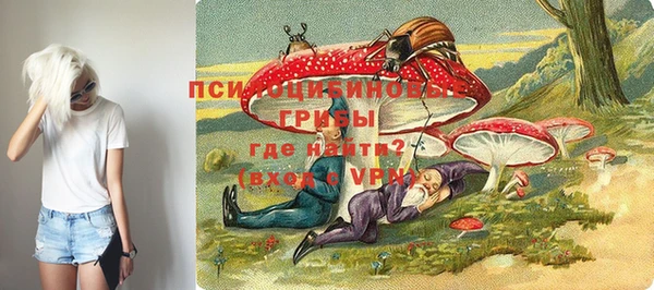 не бодяженный Алзамай