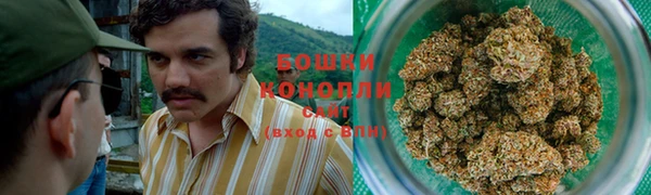 не бодяженный Алзамай